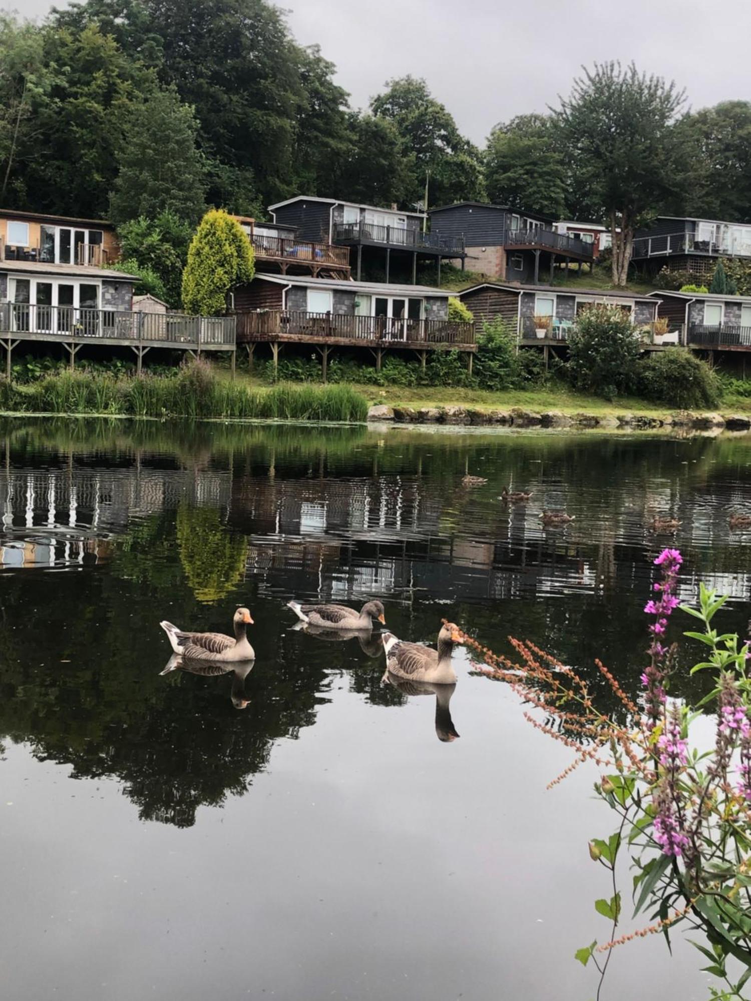 Chalet 64, Lakeside, Glan Gwna Holiday Park 卡纳芬 外观 照片